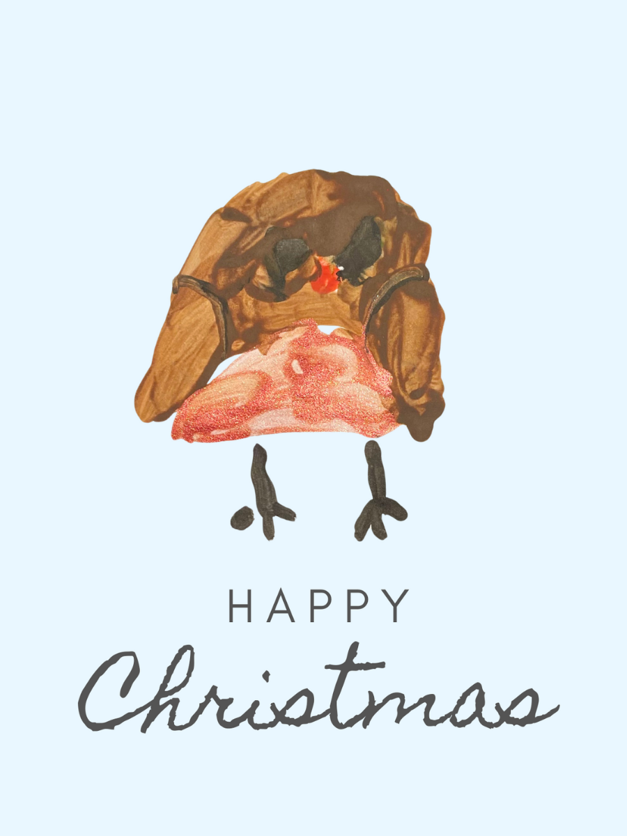 Pack of 5 Christmas Robin Christmas cards!
