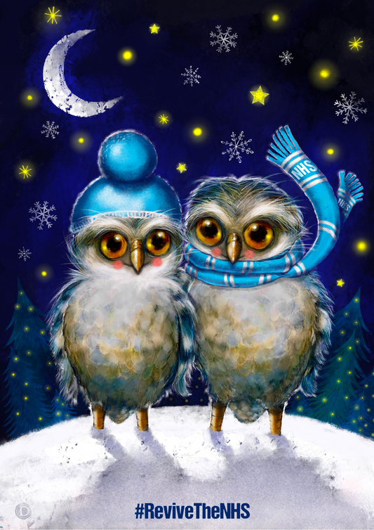 Pack of 5 Owl Christmas cards!
